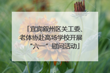 宜宾叙州区关工委、老体协赴高场学校开展“六一”慰问活动